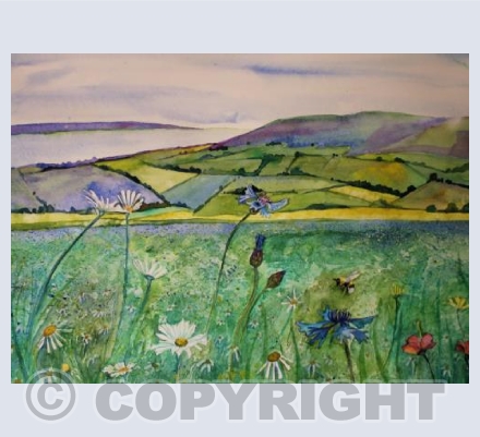 Seaside Meadow
