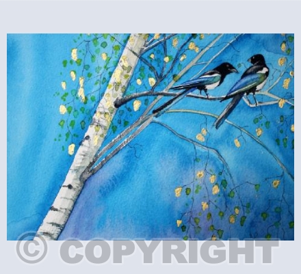 Magpie Gossip
