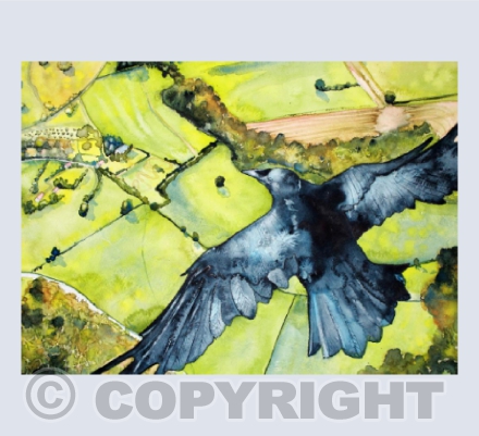 Penny's Raven