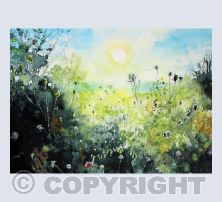 'Midsummer'