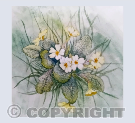 Primroses by Penny Stevens