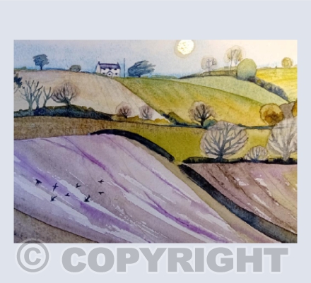 Westcountry Winter Sun