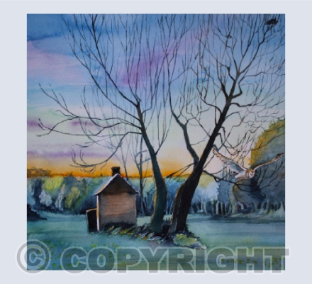 Barn Owl House, Westhay