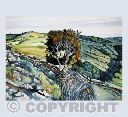 Stonechat on Crook Peak