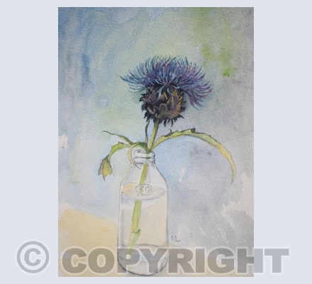Thistle