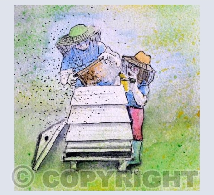 Beekeeping