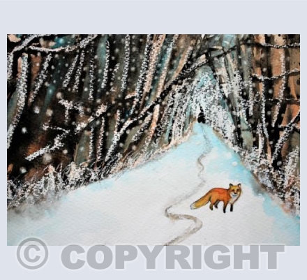 Snowy Encounter