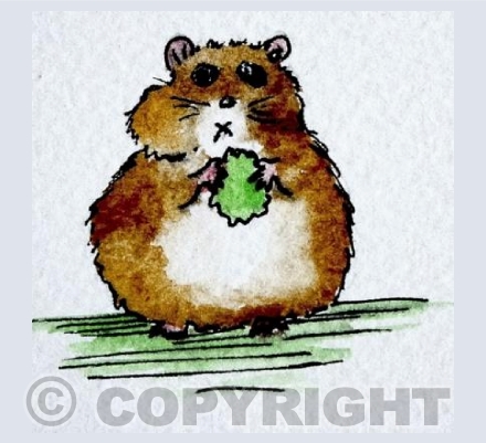 Greedy Hamster