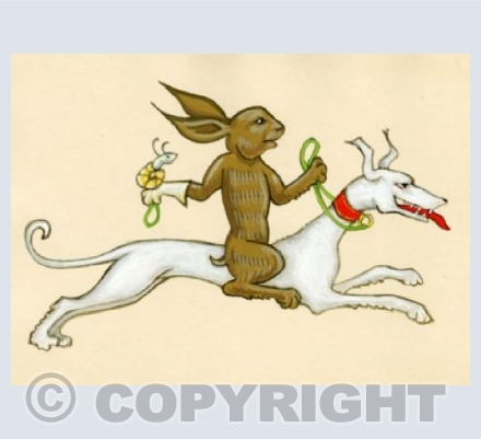 'Snail Hunting Bunny'