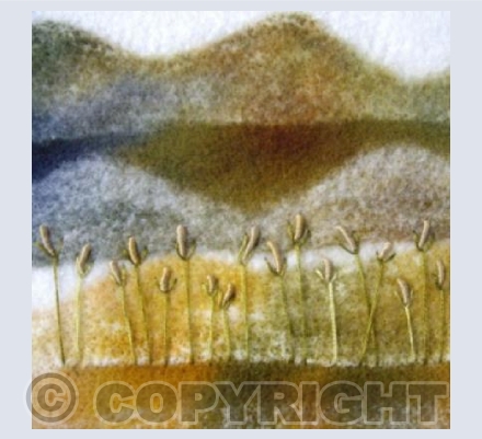 Summer Meadow