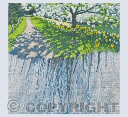 Blossom by Ben Hughes