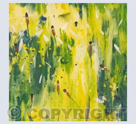 Summer by Chris Hill