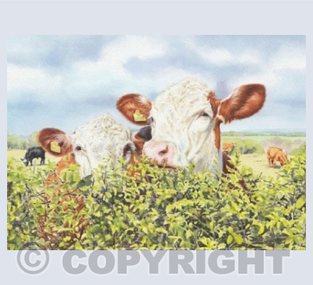 Is the grass greener ...