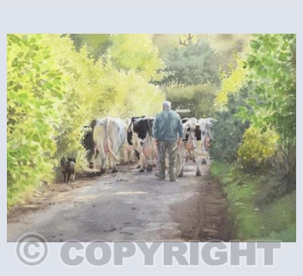 Salt Box Farm Milkers