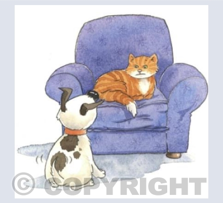 No, I don't want to play ...