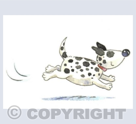 Dog-gone !