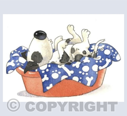 Let sleeping dogs lie ...