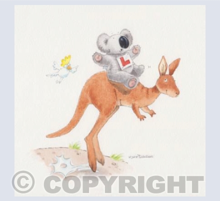 Alice & Ko  -  'L' Plates