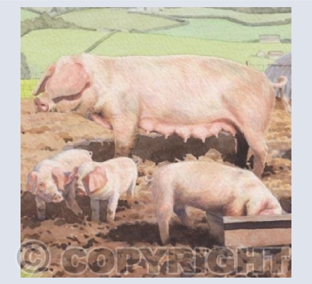 All creatures grunt and smell ...