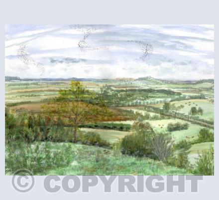 The Starlings of Otmoor card