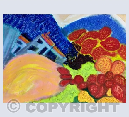 village in the pyrenees