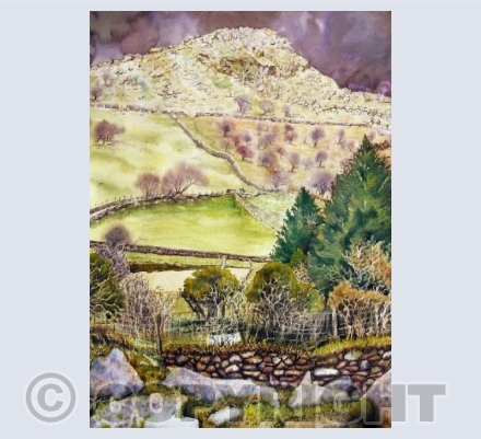 Steep Tor