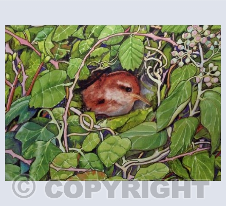 The Nesting Wren