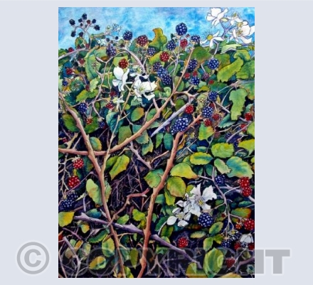 Bramble Bush