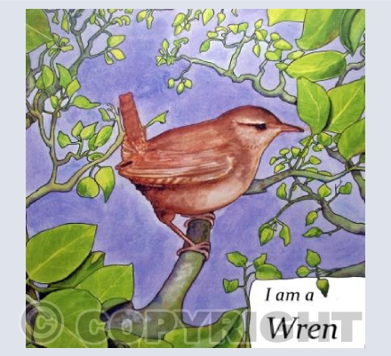 I am a Wren 1 of 6