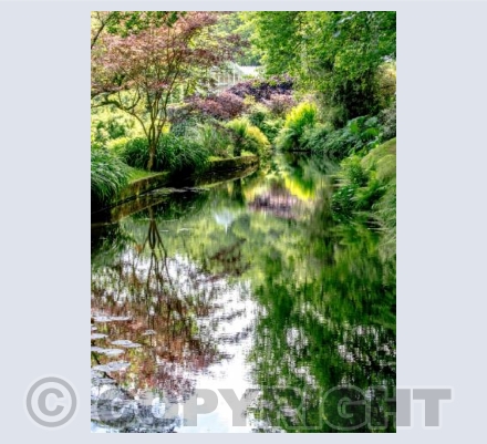 Garden by the stream