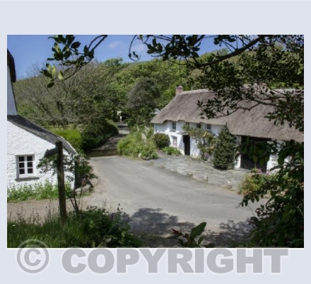 Thatched Cottages