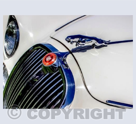 Jag White