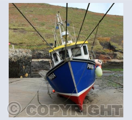 Low Tide Boscastle