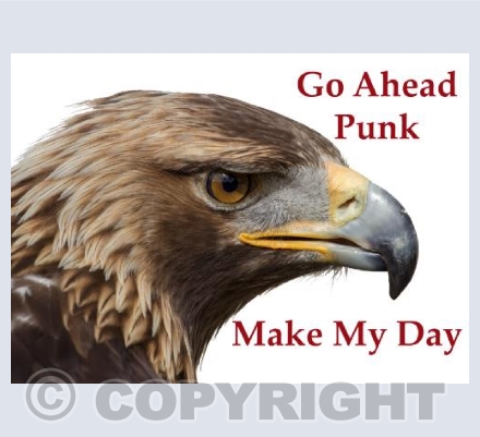 Go ahead punk