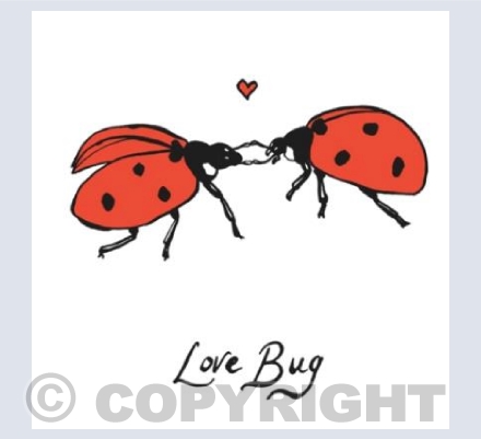 "Love Bug"