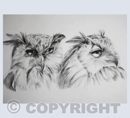 'Eagle Owl Duo'