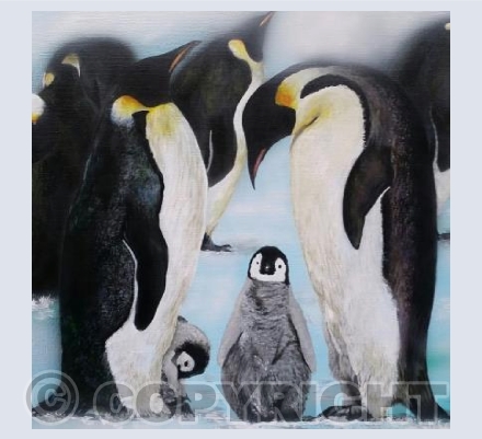 Baby is cold outside!