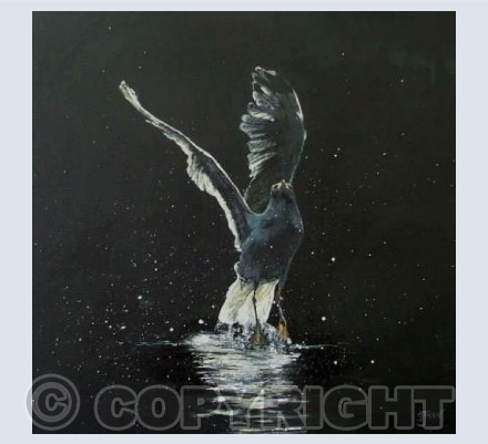 Harbour light