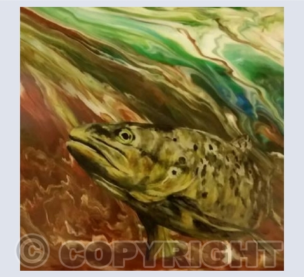 Brown Trout