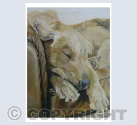 Sunday Snooze