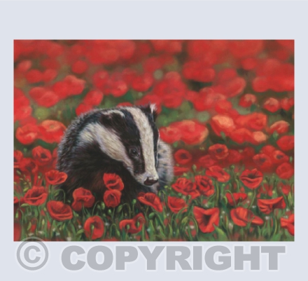 Sett in Scarlet