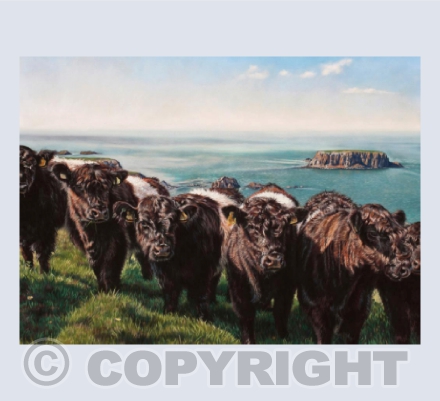 Belties