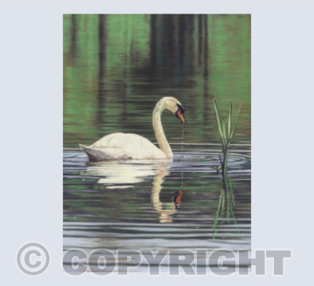 Swan Lake