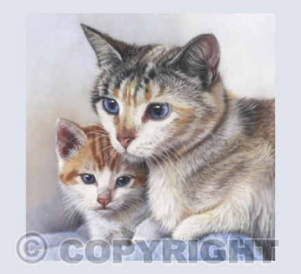 Cat and Kitten