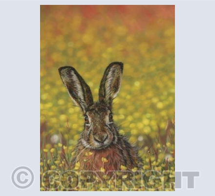 Bathing in Buttercups