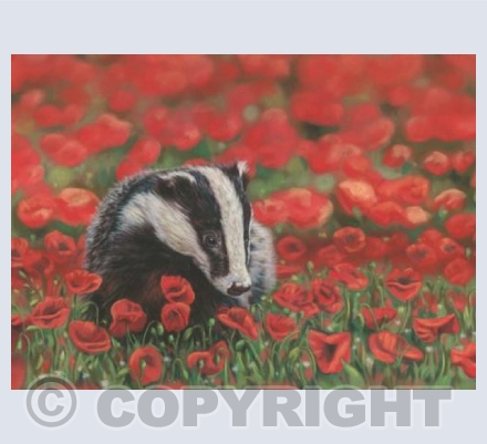 Sett in Scarlett