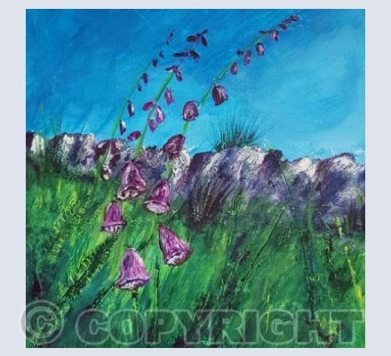 Wild Foxgloves