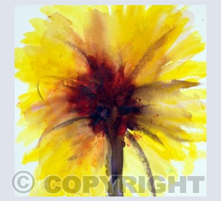 Card Sunflower
