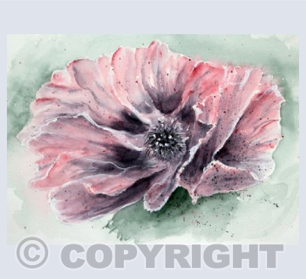 Card Poppy