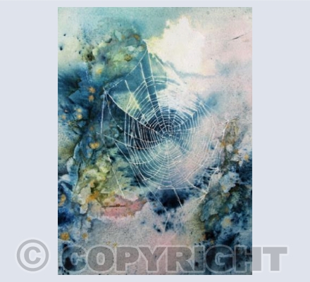 Cobweb